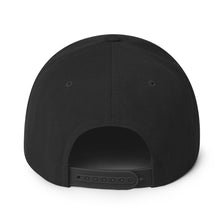 Load image into Gallery viewer, The DJ Coach Snapback Hat
