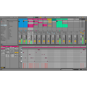 Ableton Live 10 Suite upgrade to Ableton Live 11 Suite